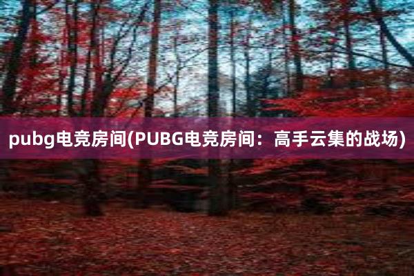 pubg电竞房间(PUBG电竞房间：高手云集的战场)