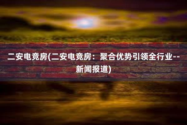 二安电竞房(二安电竞房：聚合优势引领全行业--新闻报道)