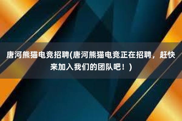 唐河熊猫电竞招聘(唐河熊猫电竞正在招聘，赶快来加入我们的团队吧！)