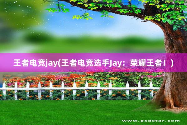 王者电竞jay(王者电竞选手Jay：荣耀王者！)