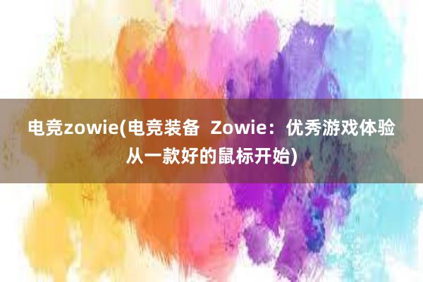 电竞zowie(电竞装备  Zowie：优秀游戏体验从一款好的鼠标开始)