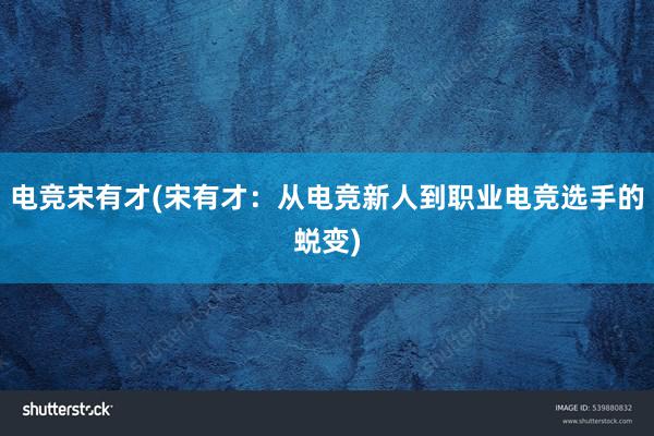 电竞宋有才(宋有才：从电竞新人到职业电竞选手的蜕变)