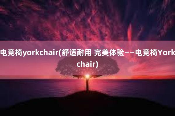 电竞椅yorkchair(舒适耐用 完美体验——电竞椅Yorkchair)