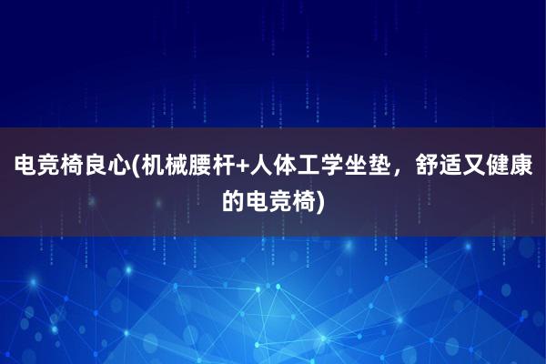 电竞椅良心(机械腰杆+人体工学坐垫，舒适又健康的电竞椅)