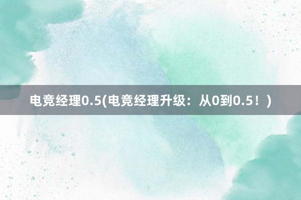 电竞经理0.5(电竞经理升级：从0到0.5！)