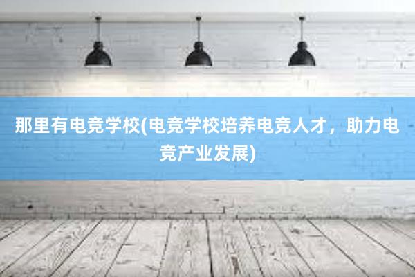 那里有电竞学校(电竞学校培养电竞人才，助力电竞产业发展)