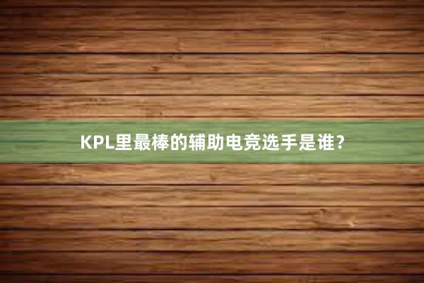 KPL里最棒的辅助电竞选手是谁？