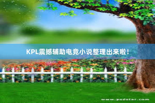 KPL震撼辅助电竞小说整理出来啦！