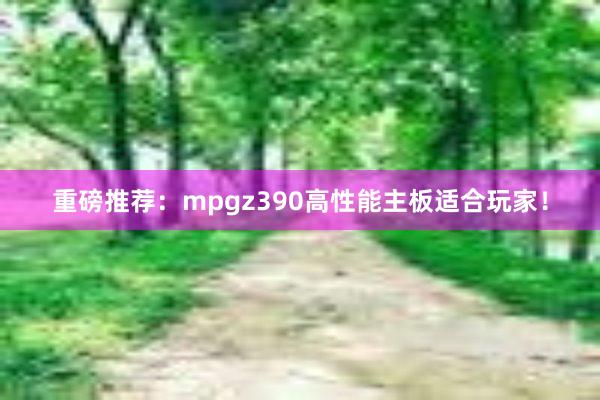 重磅推荐：mpgz390高性能主板适合玩家！