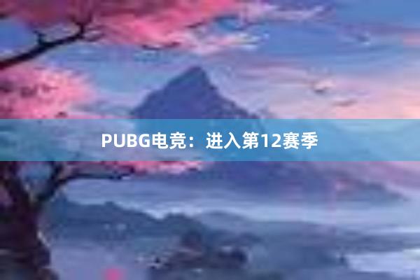 PUBG电竞：进入第12赛季