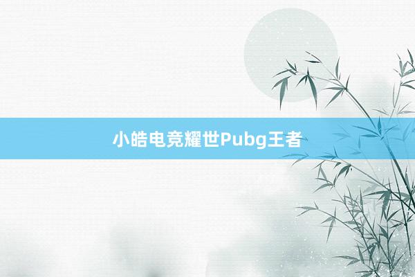 小皓电竞耀世Pubg王者