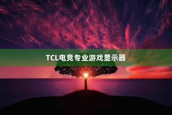 TCL电竞专业游戏显示器