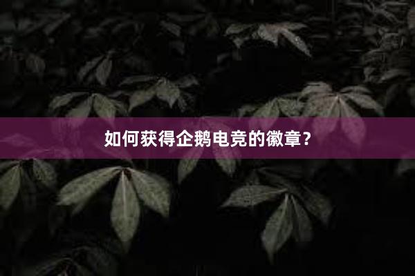 如何获得企鹅电竞的徽章？