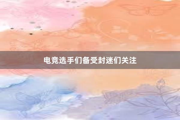 电竞选手们备受封迷们关注