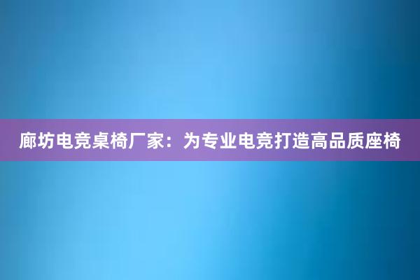 廊坊电竞桌椅厂家：为专业电竞打造高品质座椅