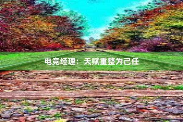 电竞经理：天赋重整为己任