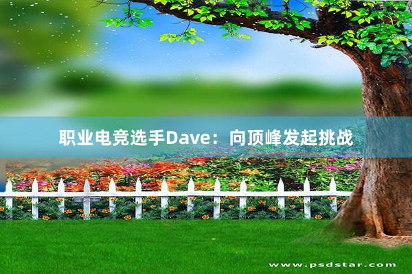 职业电竞选手Dave：向顶峰发起挑战