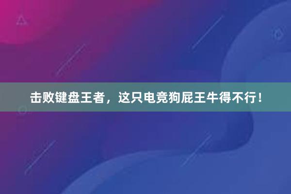 击败键盘王者，这只电竞狗屁王牛得不行！