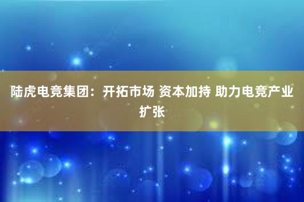 陆虎电竞集团：开拓市场 资本加持 助力电竞产业扩张